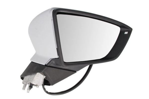 BLIC 5402-10-2002306P Exterior Mirror