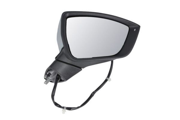 BLIC 5402-10-2439311P Exterior Mirror