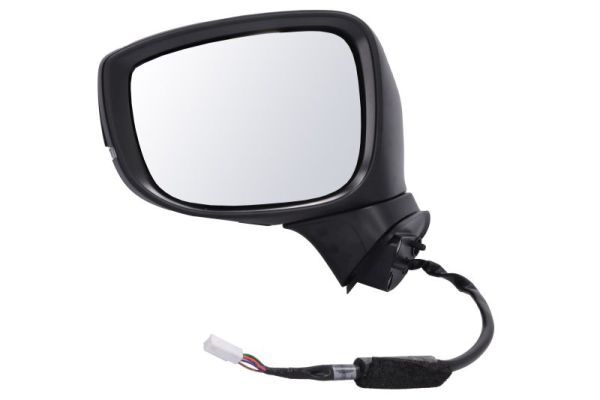 BLIC 5402-14-1906310P Exterior Mirror