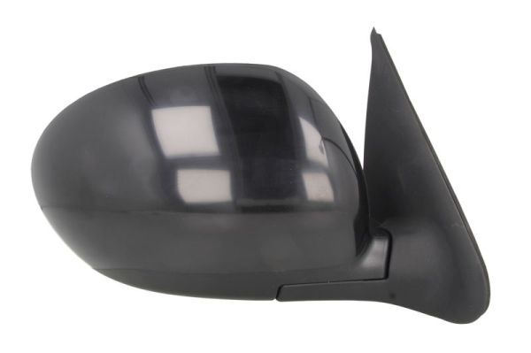 BLIC 5402-16-2001874P Exterior Mirror