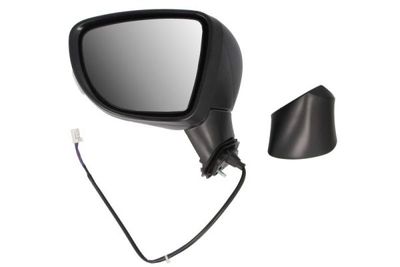 Exterior Mirror BLIC 5402-16-2104310P