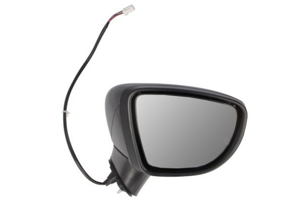 BLIC 5402-16-2104311P Exterior Mirror