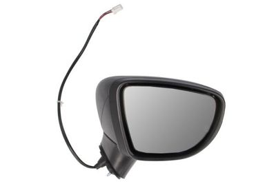 Exterior Mirror BLIC 5402-16-2104311P