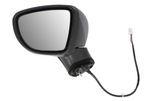 BLIC 5402-16-2104312P Exterior Mirror