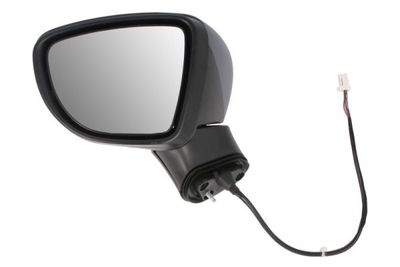Exterior Mirror BLIC 5402-16-2104312P