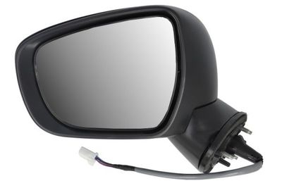 Exterior Mirror BLIC 5402-18-2002312P