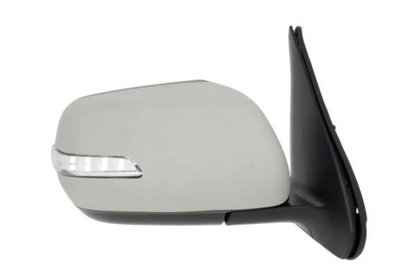 BLIC 5402-18-2002418P Exterior Mirror