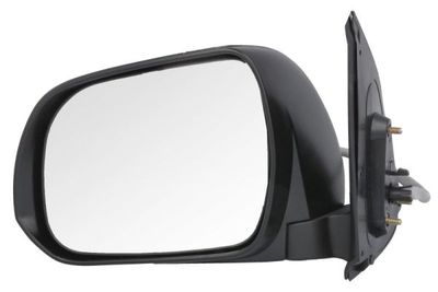 Exterior Mirror BLIC 5402-19-2002489P
