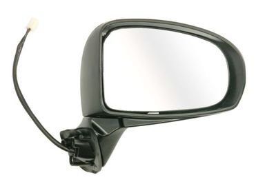 Exterior Mirror BLIC 5402-19-2002508P