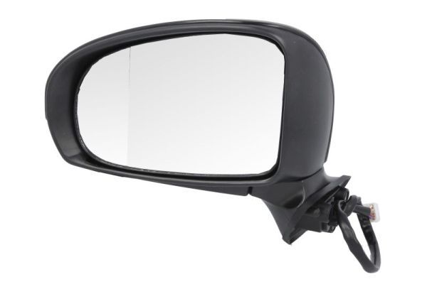 BLIC 5402-19-2002509P Exterior Mirror