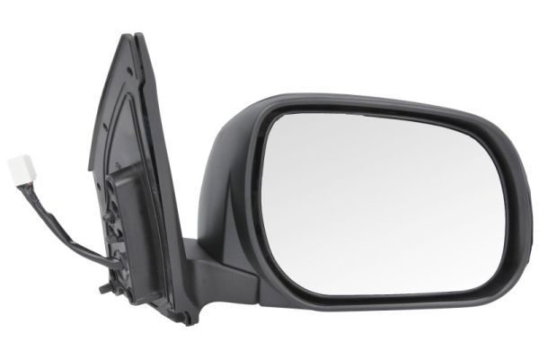 BLIC 5402-19-2002528P Exterior Mirror