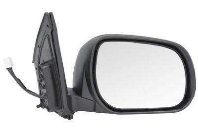 Exterior Mirror BLIC 5402-19-2002528P