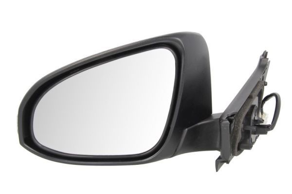 BLIC 5402-19-2002555P Exterior Mirror