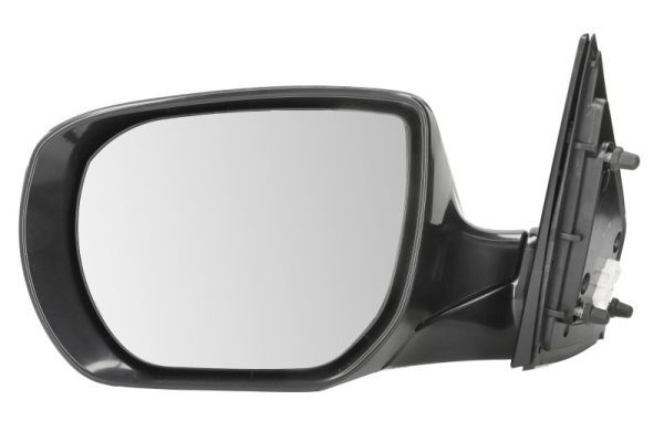 BLIC 5402-20-0556310P Exterior Mirror