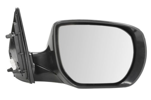 BLIC 5402-20-0556313P Exterior Mirror