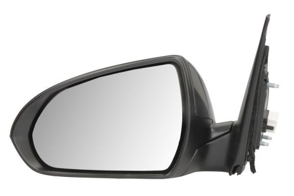 BLIC 5402-20-1729310P Exterior Mirror