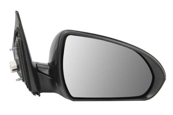 BLIC 5402-20-1729311P Exterior Mirror