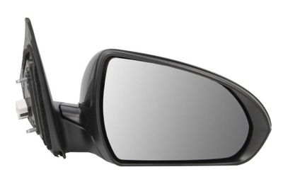 Exterior Mirror BLIC 5402-20-1729311P