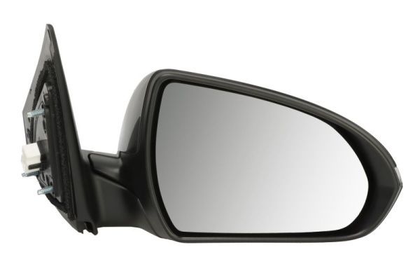 BLIC 5402-20-1729313P Exterior Mirror