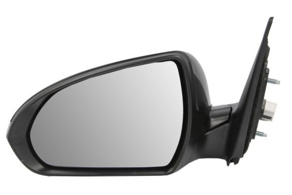 BLIC 5402-20-1729314P Exterior Mirror