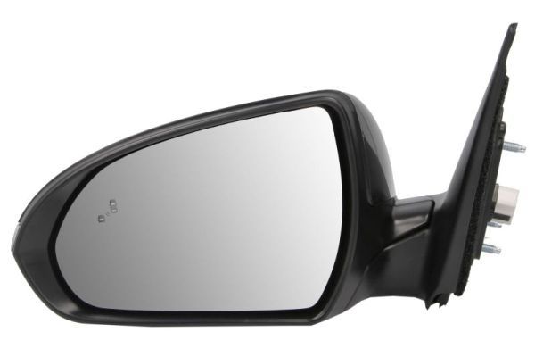 BLIC 5402-20-1729316P Exterior Mirror