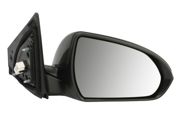 BLIC 5402-20-1729317P Exterior Mirror