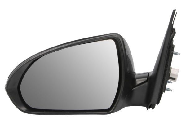 BLIC 5402-20-1729318P Exterior Mirror