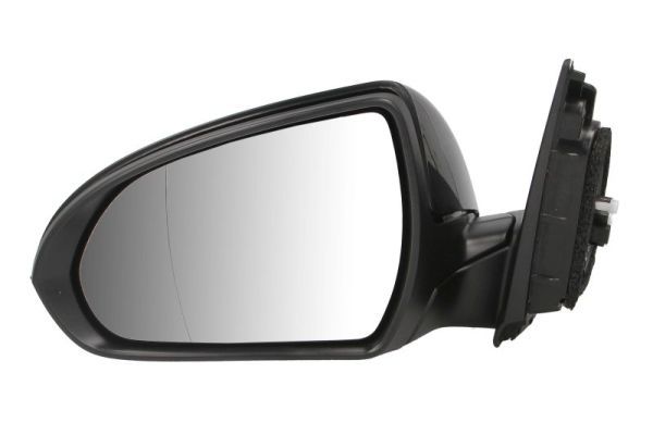 BLIC 5402-20-1966310P Exterior Mirror