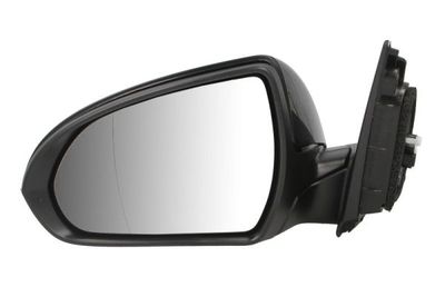 Exterior Mirror BLIC 5402-20-1966310P