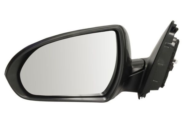 BLIC 5402-20-1966312P Exterior Mirror