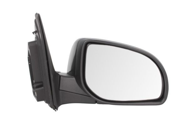BLIC 5402-20-2001396P Exterior Mirror