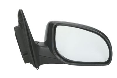 Exterior Mirror BLIC 5402-20-2001404P