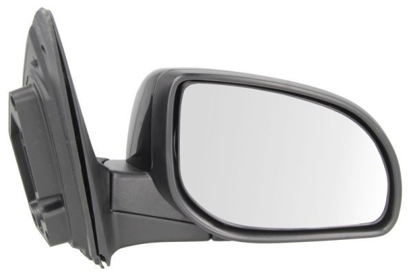 BLIC 5402-20-2001406P Exterior Mirror