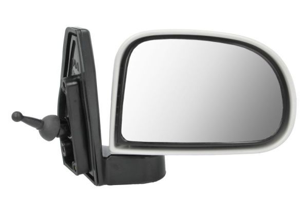 BLIC 5402-20-2002840P Exterior Mirror