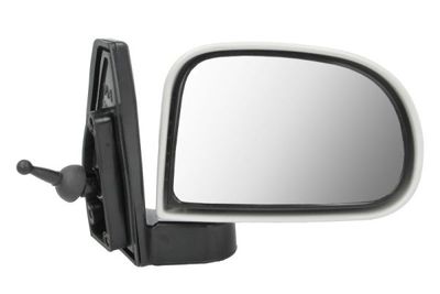 Exterior Mirror BLIC 5402-20-2002840P