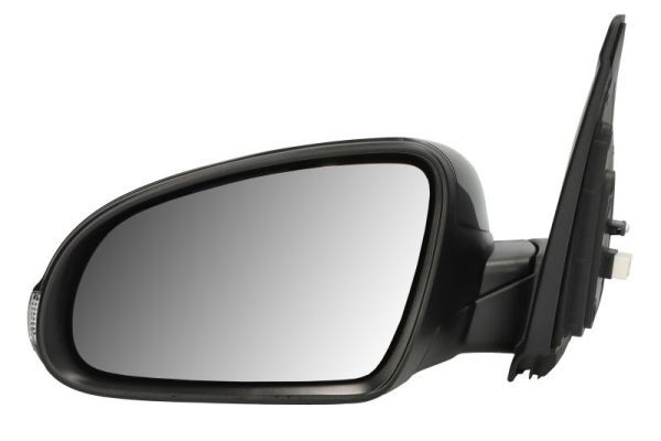 BLIC 5402-20-2238310P Exterior Mirror