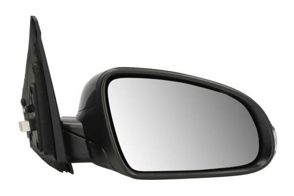 BLIC 5402-20-2238311P Exterior Mirror