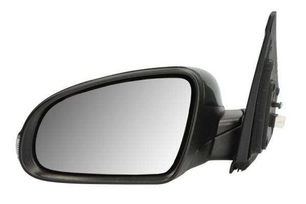 BLIC 5402-20-2238312P Exterior Mirror