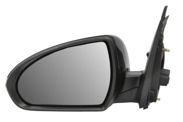 BLIC 5402-20-2239310P Exterior Mirror