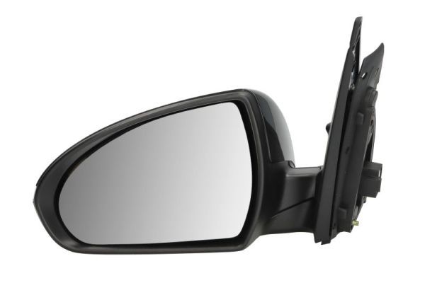 BLIC 5402-20-2239312P Exterior Mirror