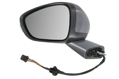 Exterior Mirror BLIC 5402-21-0209310P