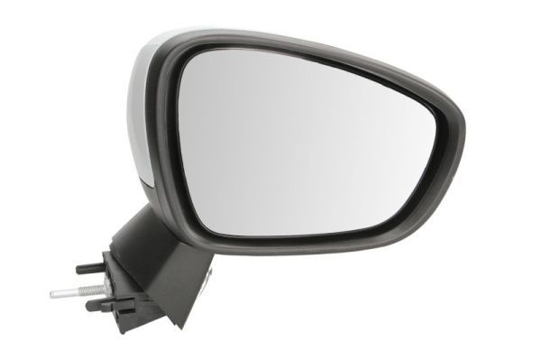 BLIC 5402-21-042362P Exterior Mirror