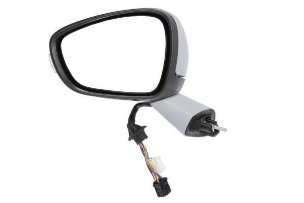 BLIC 5402-21-044371P Exterior Mirror