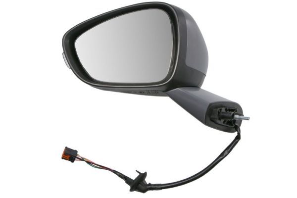 BLIC 5402-21-1667310P Exterior Mirror