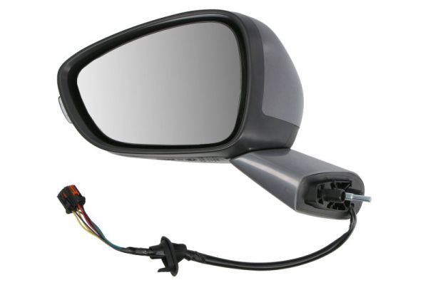 BLIC 5402-21-1667312P Exterior Mirror