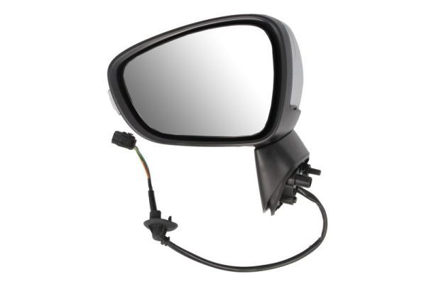 BLIC 5402-21-1882318P Exterior Mirror