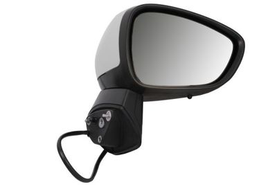 Exterior Mirror BLIC 5402-21-2137313P