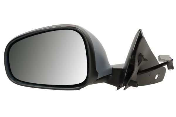 BLIC 5402-22-016365P Exterior Mirror