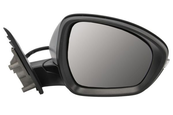 BLIC 5402-22-2075313P Exterior Mirror