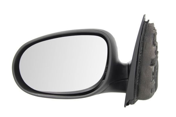 BLIC 5402-23-2001593P Exterior Mirror